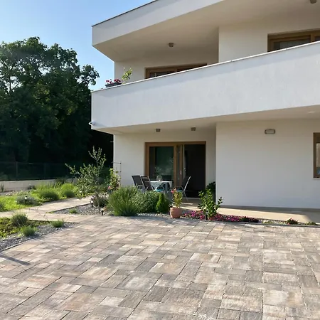 Oblica-beautiful New, Well Equipped