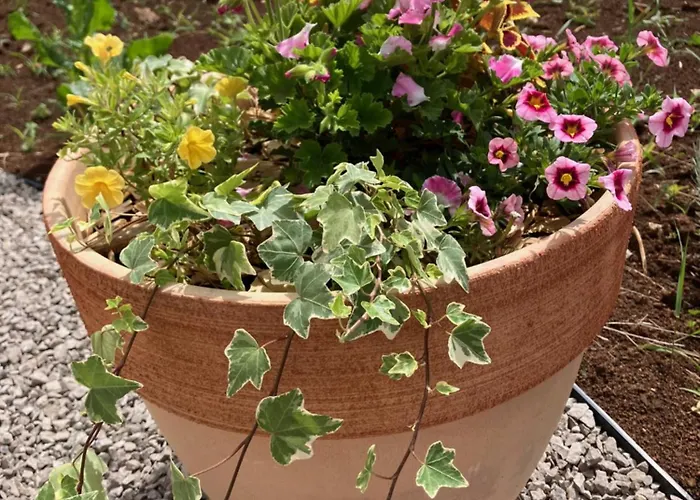 Oblica-beautiful New, Well Equipped Kastav